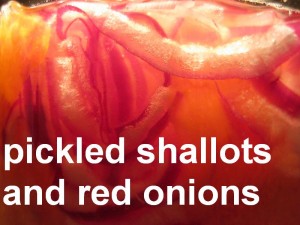 pickled-closeup2
